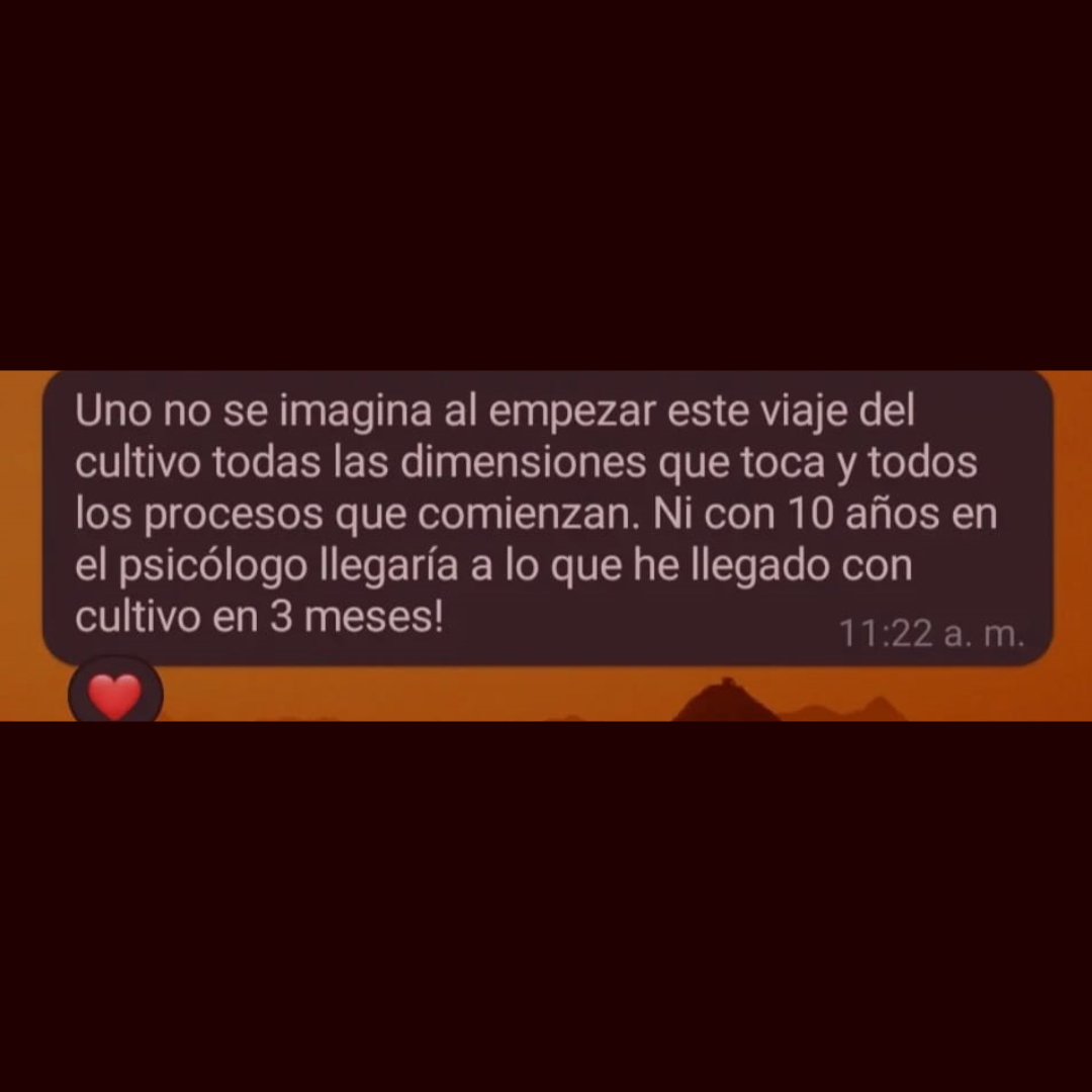 Testimonio