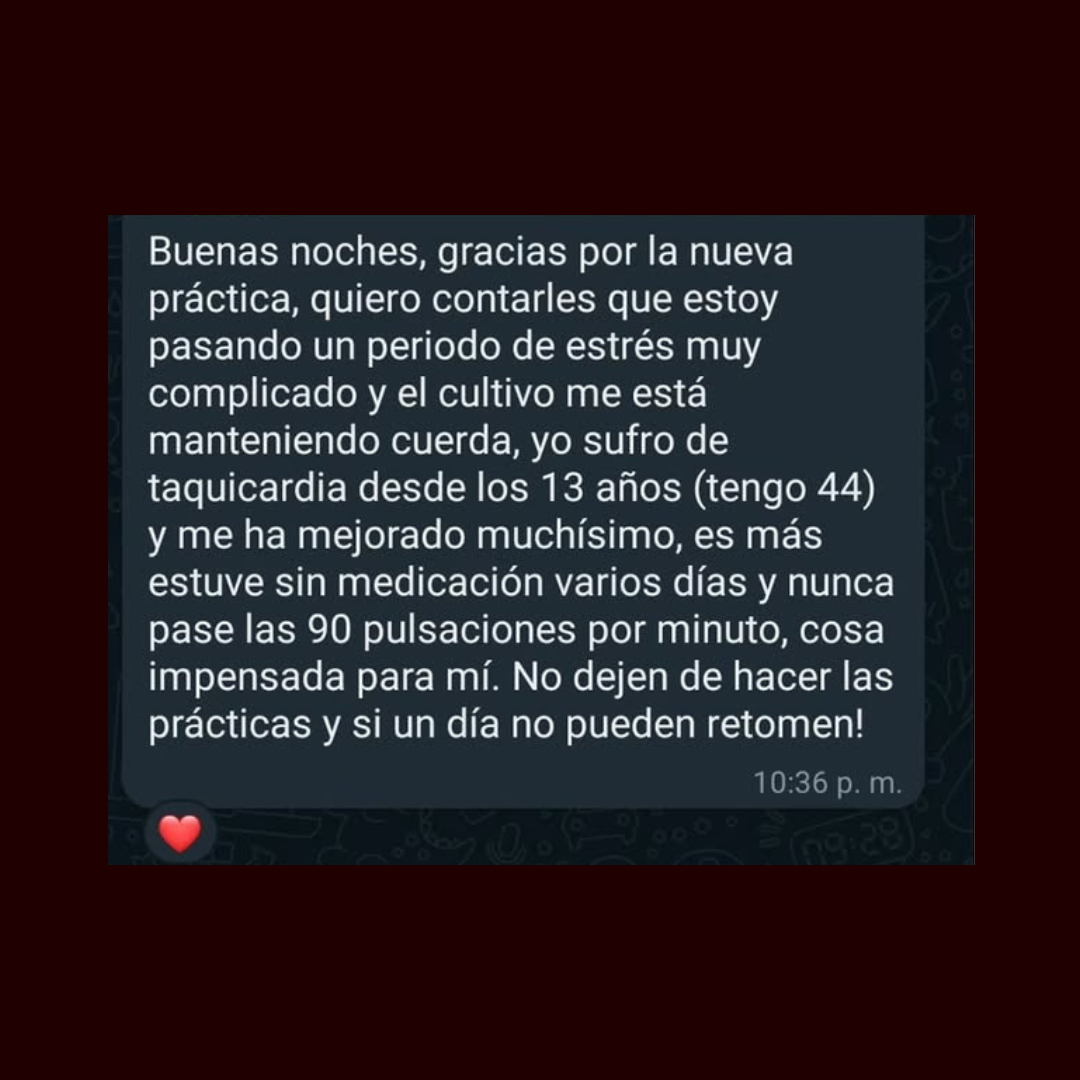 Testimonio